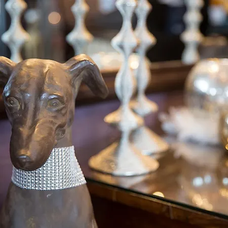 Bergwelt Обергургль